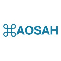 AOSAH STORE logo - Similar company to Cheasy Store