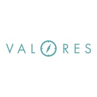 Valores Soluções logo - Similar company to Mx2Tech