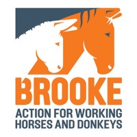 Brooke East Africa logo - Similar company to Kendat (Kenya Network For Dissemination Of Agricultural Technologies)