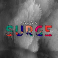 Falak logo - Similar company to Manipal Skill Development Center