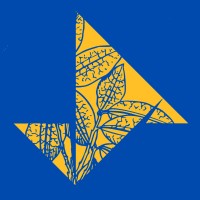 Enactus UESC logo - Similar company to Illuminare
