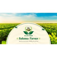 ELSALAMA FOR EXPORT logo - Similar company to Elwan For Export & Agri. Development