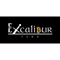 Excalibur.Fund logo - Similar company to Wild Intelligence
