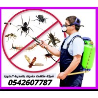 Pest Control logo - Similar company to Muheet Albeeah Pest Control