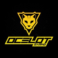 Ocelot Gaming logo - Similar company to Yeyian Gaming
