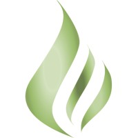 Movimento FIRE logo - Similar company to The Rich Dad Company