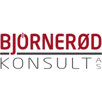 Bjørnerød Konsult AS logo - Similar company to Tugsuz Food