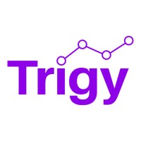 Trigy logo - Similar company to N1 Digital