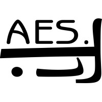 AES.IT logo - Similar company to Bluesky Apps