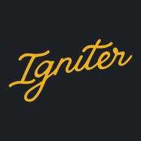 The Igniter Company logo - Similar company to Johnson Strategy Partners