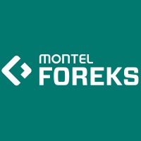Montel-Foreks logo - Similar company to L30 International İnovatif Sistemler Anonim Şirketi