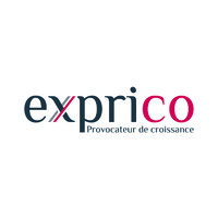 EXPRICO logo - Similar company to Flex Hydro