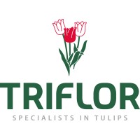 Triflor logo - Similar company to Forever Bulbs
