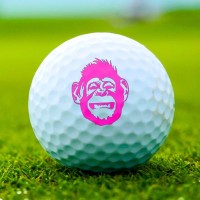 Let's Go! Golf logo - Similar company to Rayo_Negro