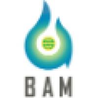Brilliant Access Media - Bam