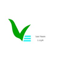 STUDIO VINCI logo - Similar company to Studio Gadoni