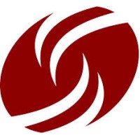 Dress For Success Luxembourg asbl logo - Similar company to The Network