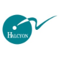 Halcyon Search International logo - Similar company to Rdi Worldwide - Korean Recruitment