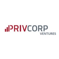 Privcorp Ventures logo - Similar company to Rax Ltd
