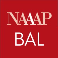 NAAAP Baltimore - National Association of Asian American Professionals logo - Similar company to North Star Project