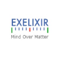 Exelixir Analytics Private Limited