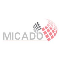 Micado logo - Similar company to Derfi