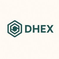 DHEX logo - Similar company to Webvoom Pvt. Ltd.