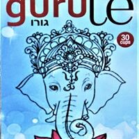 gurutè logo - Similar company to Amtev