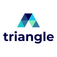 Triangle Technology Services logo - Similar company to Vcloud.Ie (Is Now Stryve)
