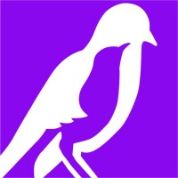 The Mockingbird Society logo - Similar company to Akin (Formerly Childhaven)