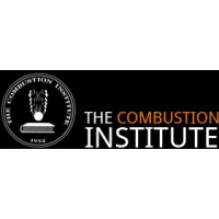Combustion Institute (British Section) logo - Similar company to Remfra