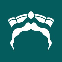 Tyche Bank logo - Similar company to Solution Bank