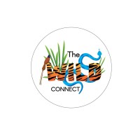 The Wild Connect
