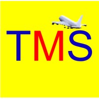 TravelMartSolution logo - Similar company to Smart Digital Wings