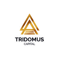 TRIDOMUS CAPITAL logo - Similar company to Go Inversiones