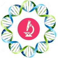 Bioseratech Medical Products logo - Similar company to Nanocert