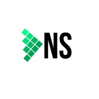 DNS Consulting logo - Similar company to Enkrypta