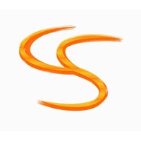 CivilSalt logo - Similar company to Pro-Secure Sarl