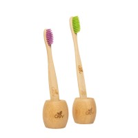 AEV Bamboo logo - Similar company to Vbs4Rh