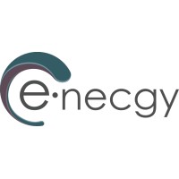 ENECGY SA DE CV logo - Similar company to Servicios Especializados, Eléctricos, Climas & Telecomunicaciones
