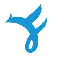 Florijnz Corporate Finance logo - Similar company to Summit Strive