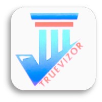 TrueVizor Associates logo - Similar company to Lawsforum
