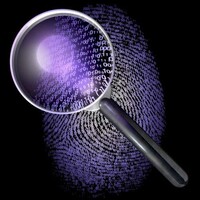 Aloye Investigation Services