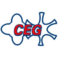 Compressor Engineering Group Inc. logo - Similar company to Compressor Energy Services - A Fidelity Company
