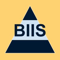 BIIS Consulting