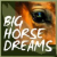 Big Horse Dreams, Inc.