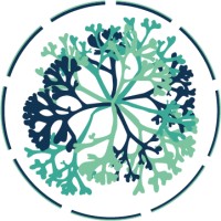 Pyxine logo - Similar company to Collaborative People Consulting