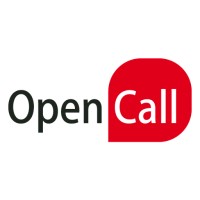 Open Call S.A. logo - Similar company to Soft Qs