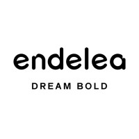 Endelea logo - Similar company to Chitè