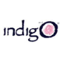 Indigo Studio